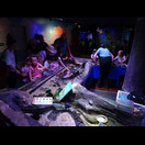 Der Streichelzoo im Sea Life Aquarium